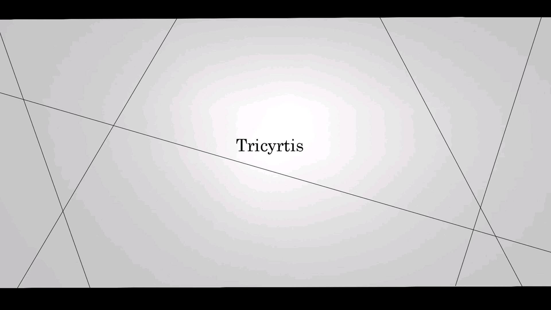 【初音ミク】Tricyrtis【Ele4nor】